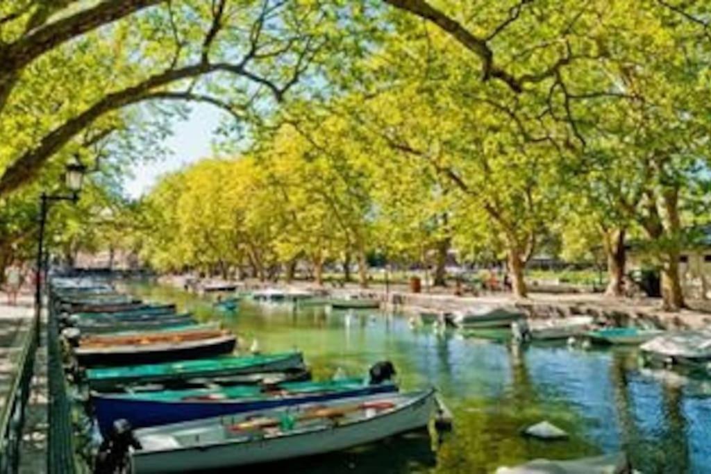 Appart Cosy Annecy Parking Et Velos Gratuit Zewnętrze zdjęcie